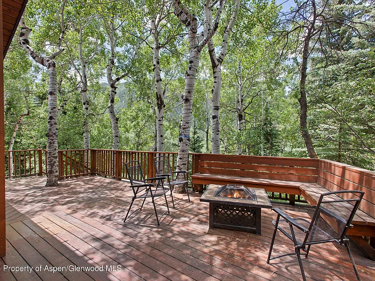 314 Mountain Laurel Dr — Photo 24