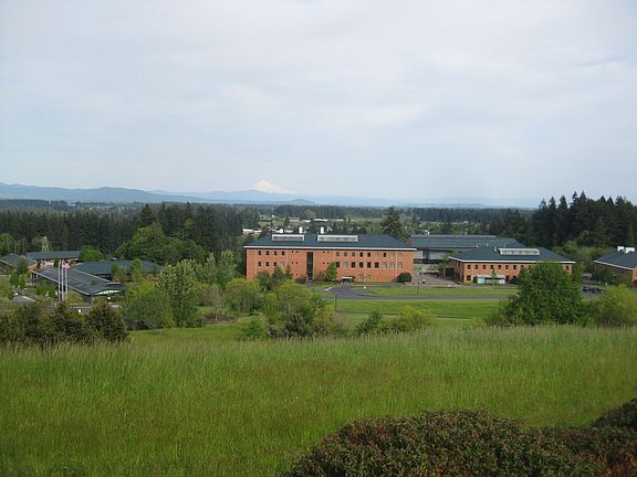 Looking straight from front lawn over WSU campus toward Mt. Hood