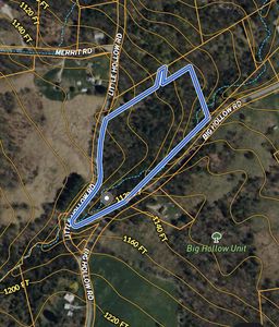 TBD0002 Little Hollow, Grahamsville, NY, 12740
