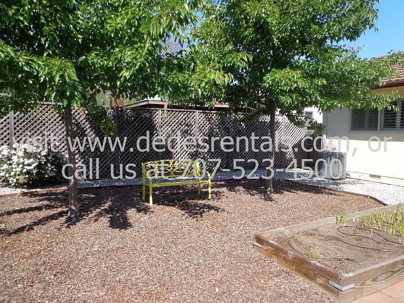 rear yard alt view
