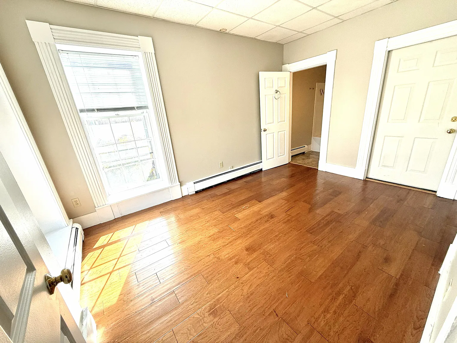 1 bed, 538 sqft, $1,200 — Photo 3
