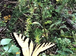 0 Old Georgia Rd, Edwardsville, AL 36261