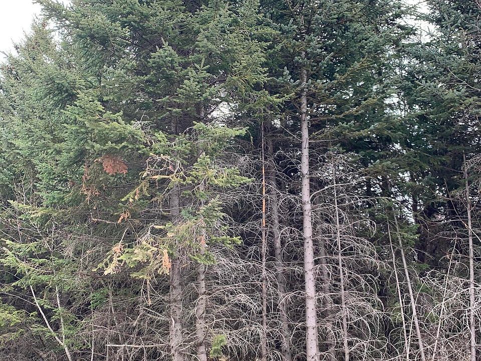 2nd image of L5-B3 Shellfish Ave