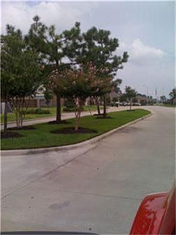 2nd image of 427 Glenwood Ridge Dr
