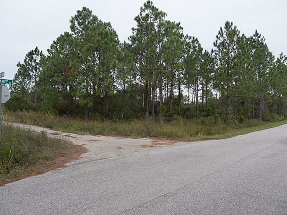 3rd image of 3464 Sandhill Crane Ave