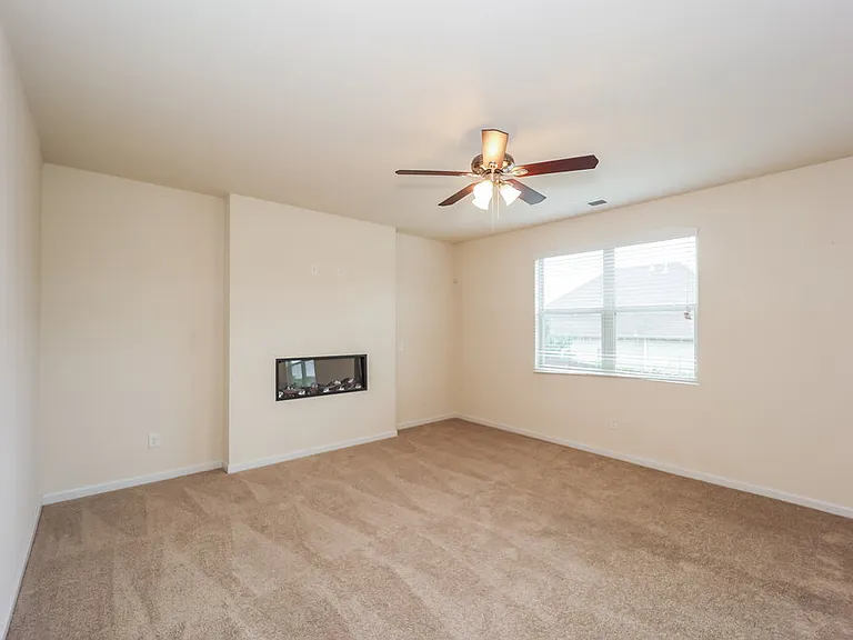 380 Hamilton Pointe Dr — Photo 6
