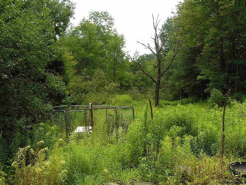 4th image of MOONEY Road