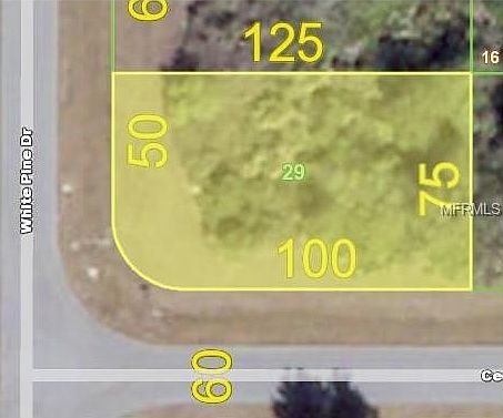 1st image of 100 Cedar Pine Dr