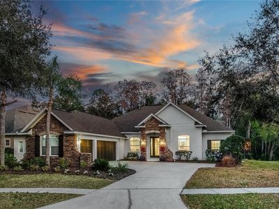 12116 San Chaliford Ct, Tampa, FL, 33626