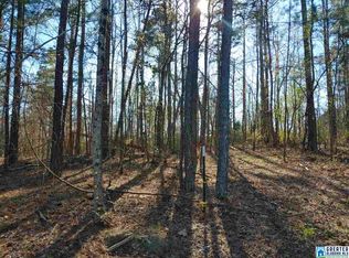 447 Chaly Springs Rd, Warrior, AL 35180