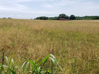 7 Webb Ln Lot 7, Smithville, TN, 37166