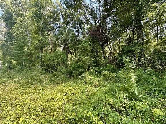 4th image of NE 597TH STREET LOT 36