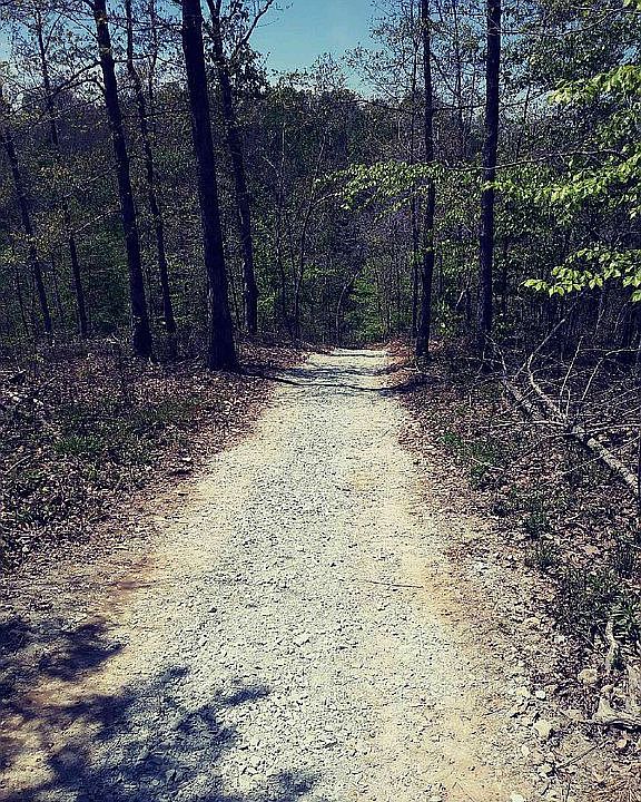 7435 Topsy Rd, Waynesboro, TN 38485 Zillow