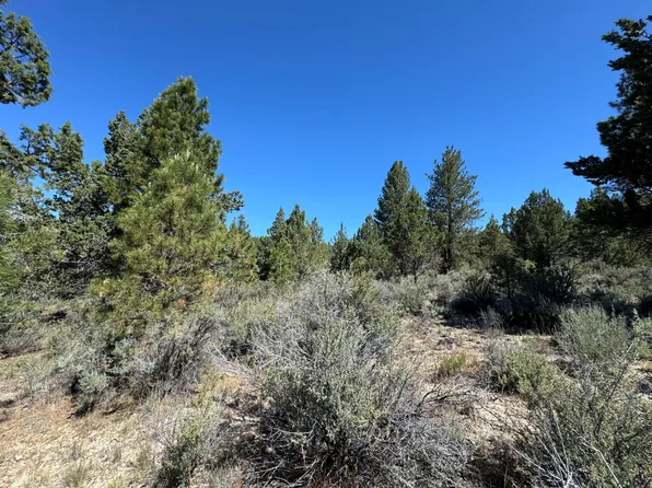 Lots 39&40 Drews Rd, Sprague River, OR 97639