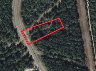 15392 Forest Grove Dr, Willis, TX 77378