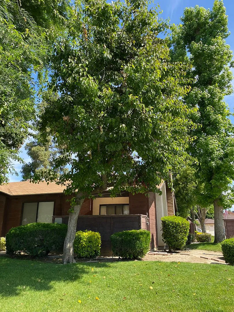 7604 N. Laurelglen Blvd. — Photo 1