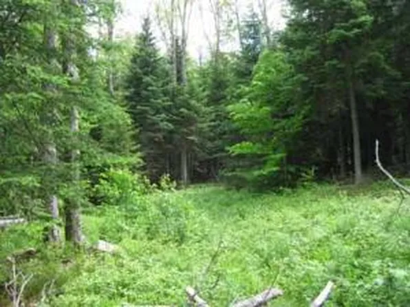 0 Hull Rd, Rainbow Lake, NY 12976