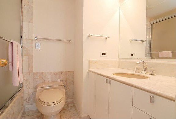 5th image of 161 E Chicago Ave APT 35G