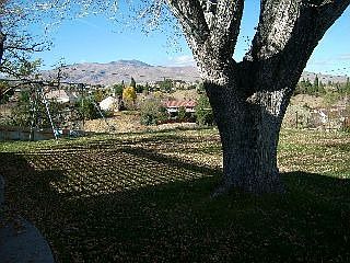 level wonderful yard