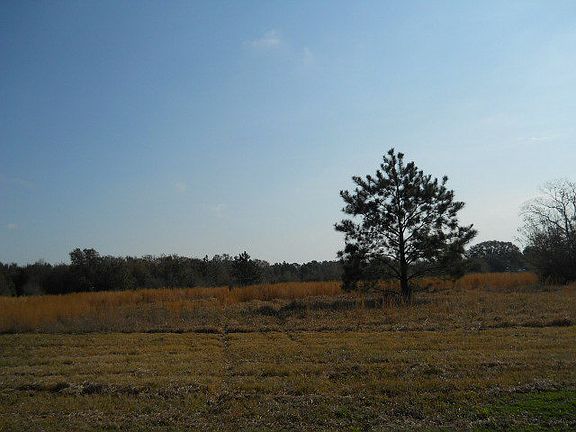 5th image of 23287 County Road 38