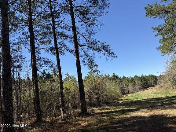 5th image of 358 Flat Branch Road