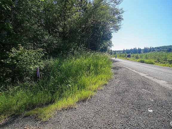 On Map - Point D  This is property line area along the road. The Panhandle is to the rear of picture, full properrty is to the front of you all the way doen to the creek.  Points are estmated on Pictures. Stakes are present to show points and lines.>