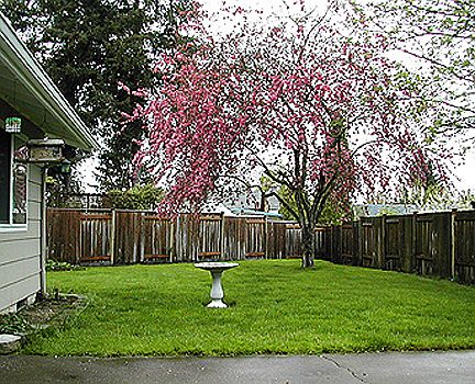2nd image of 6324 121st Pl SE