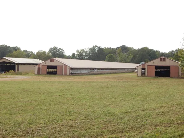 1290 Olive Hamlett Rd, Benton, KY 42025