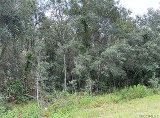 6597 W Erlen Ln, Homosassa, FL 34446