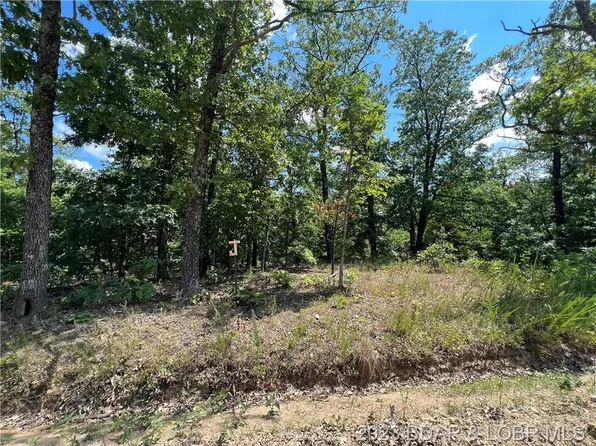 LOT Mini Farm Dr #J, Gravois Mills, MO 65037