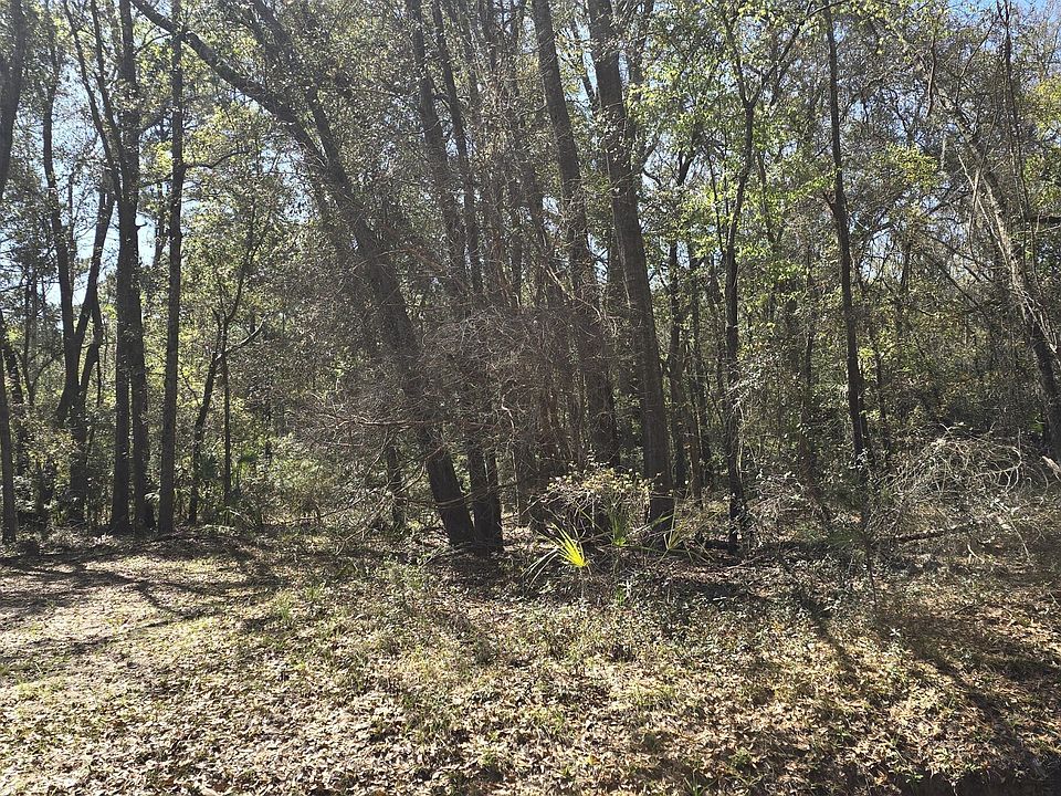 1st image of 50 Toomer Rd