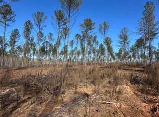 3-002D Butler Bridge Rd, Covington, GA 30016