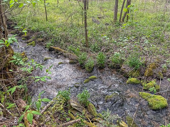 67th image of 3956 Franks Creek Rd