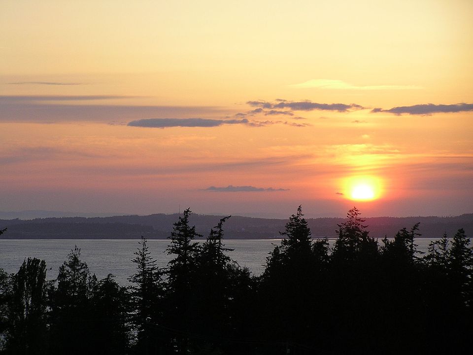 What a View!