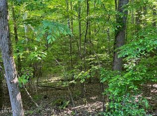 373-375 Beta Dr, Spring City, TN 37381