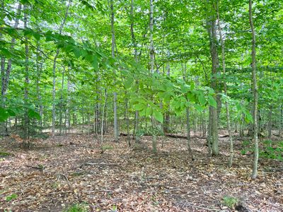 5353 S M 123, Eckerman, MI, 49728