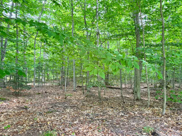 5353 S M 123, Eckerman, MI 49728