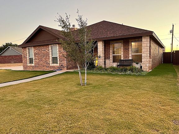 Landscaping/Live oak tree 