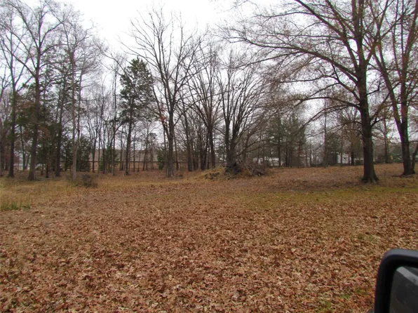 County Road 1516, Alba, TX 75410