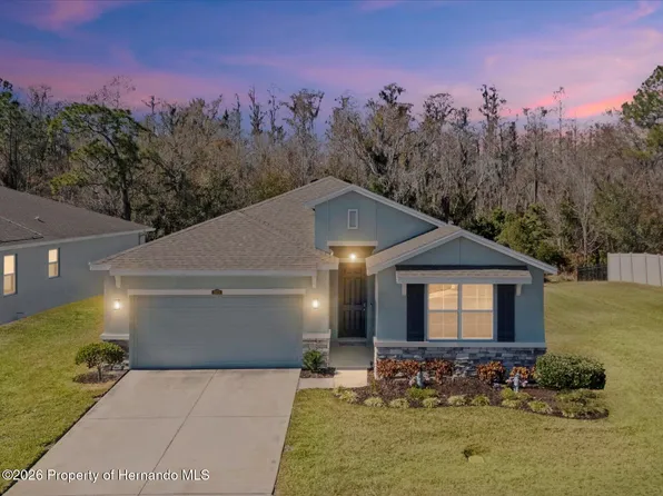 2873 Storybrook Preserve Dr, Odessa, FL 33556