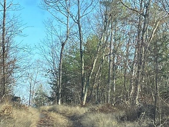 3rd image of L26 & L27 Ecker Hollow Rd Lot 26