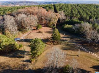 620 Chief Albert Rd #1, Blountsville, AL 35031