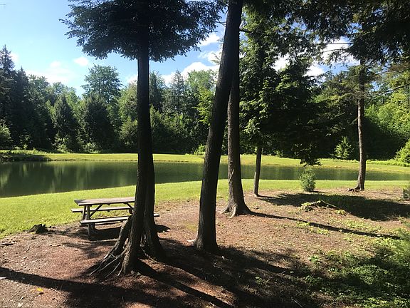 20' deep swimming pond