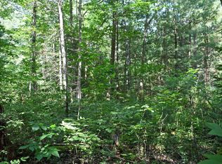 123 S Pinetree Dr, Greenbush, MI 48738