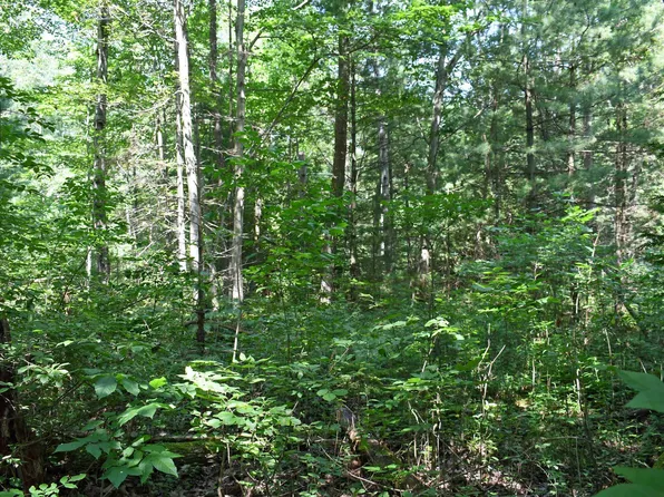 123 S Pinetree Dr, Greenbush, MI 48738