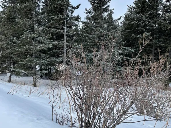 17938 Arcturus Loop, Ninilchik, AK 99639