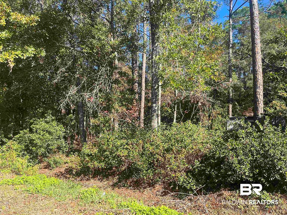 2nd image of 0 Bayou Cypress Dr