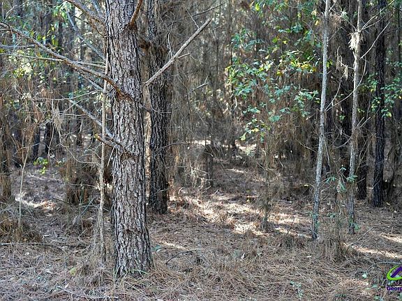 3rd image of Highway 57