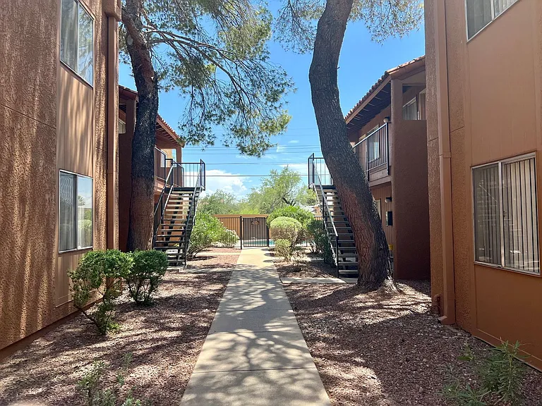 Acacia Gardens — Photo 45