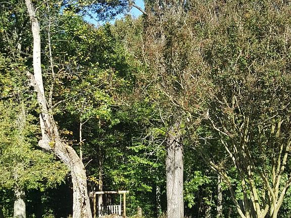 Fire Pit area